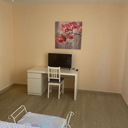 Hostal Sara Villafeliche ภายนอก รูปภาพ